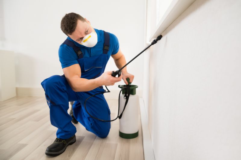Carpet Beetle Extermination in Arlington, TX